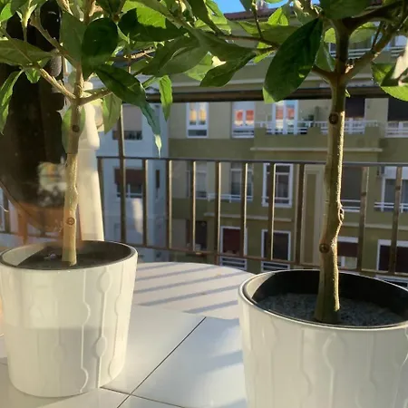 Lejlighed Un Hogar En El Centro Con Parking Gratuito *